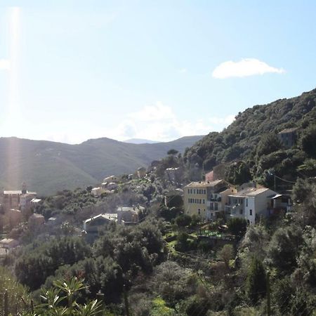 Casa Di Maria Ξενοδοχείο Rogliano Εξωτερικό φωτογραφία