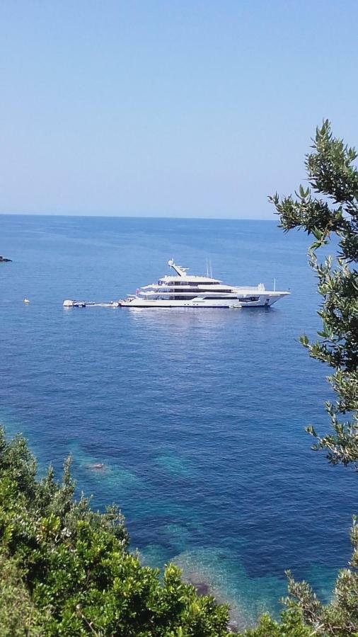 Casa Di Maria Ξενοδοχείο Rogliano Εξωτερικό φωτογραφία