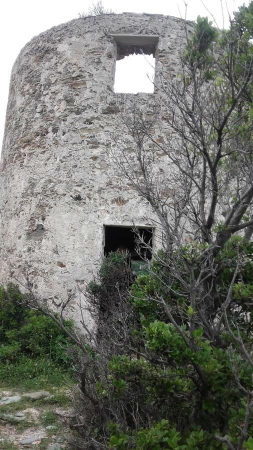 Casa Di Maria Ξενοδοχείο Rogliano Εξωτερικό φωτογραφία